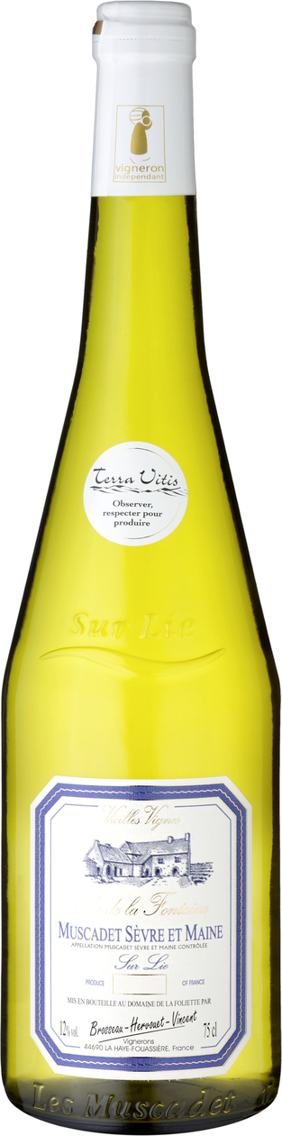 Muscadet Sèvre et Maine sur lie AC 2013
