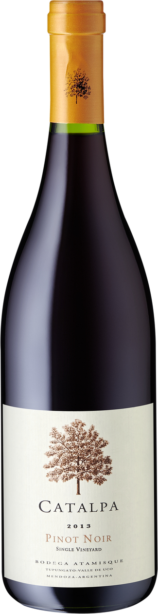 Pinot Noir Catalpa, 2013