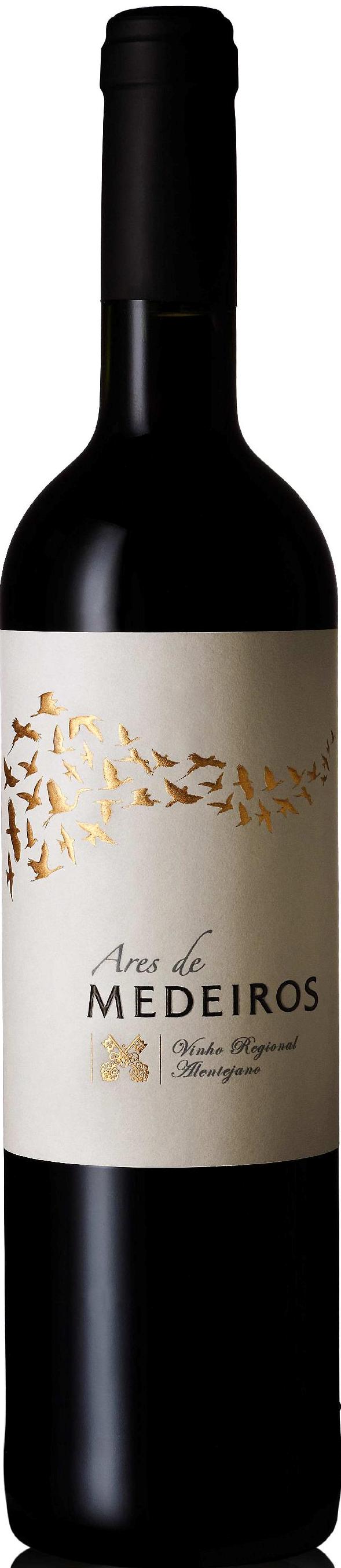 Ares de Medeiros, 2013 