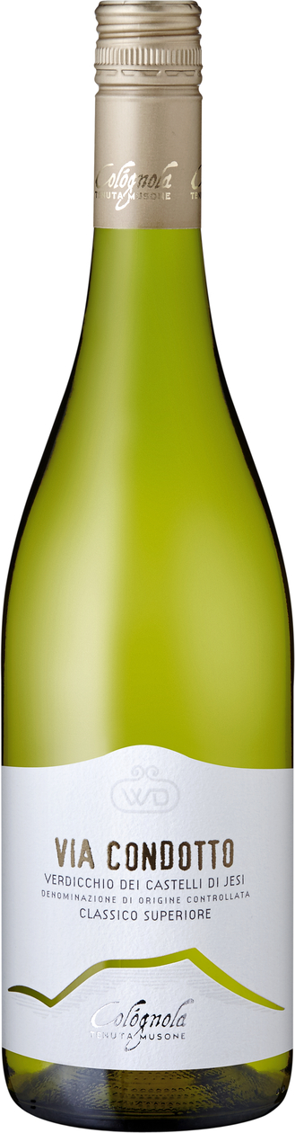 Verdicchio dei Castelli di Jesi "Via Condotto 2017