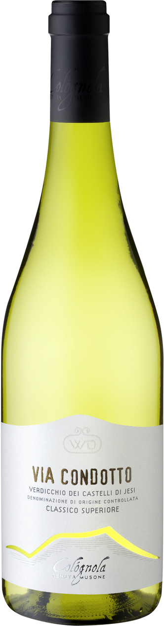 Verdicchio dei Castelli di Jesi "Via Condotto"2013